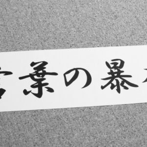 モラハラ夫に オウム返し はngな理由 モラハラ離婚ナビ